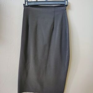 Cami Women's Taupe Straight & Pencil Skirt Knee Length Zip Size 2 Regular